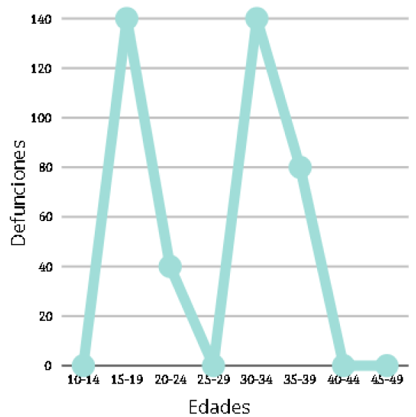 Gráfico de Mortalidad Materna